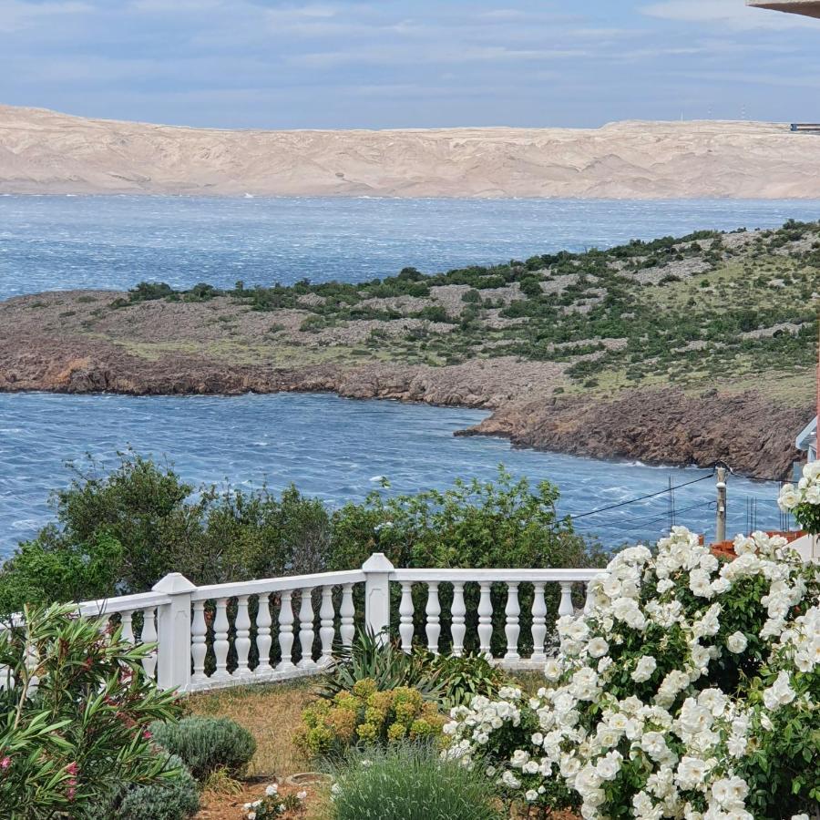 Villa Lilly Cesarica Bagian luar foto